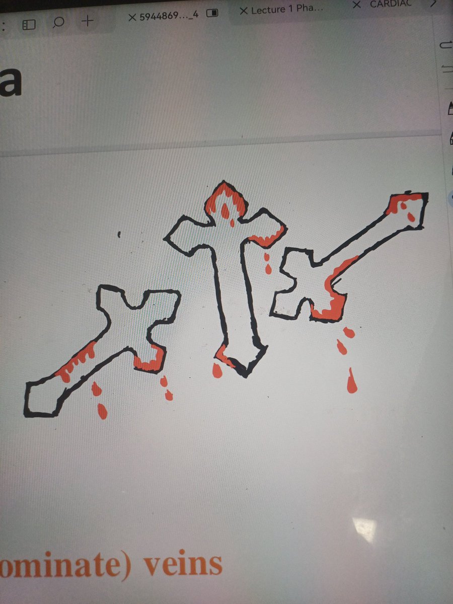 أهم حاجة نركز فالمحاضرة