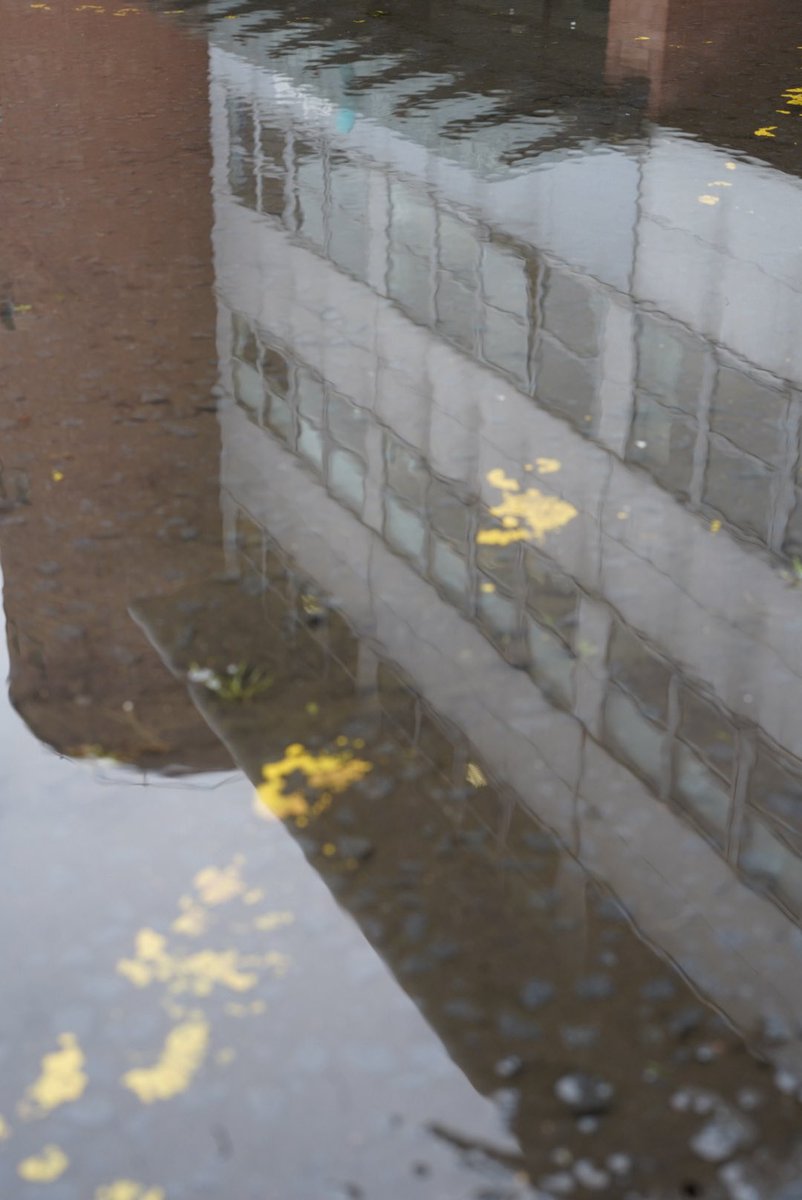 Anthony Beckles tweet media