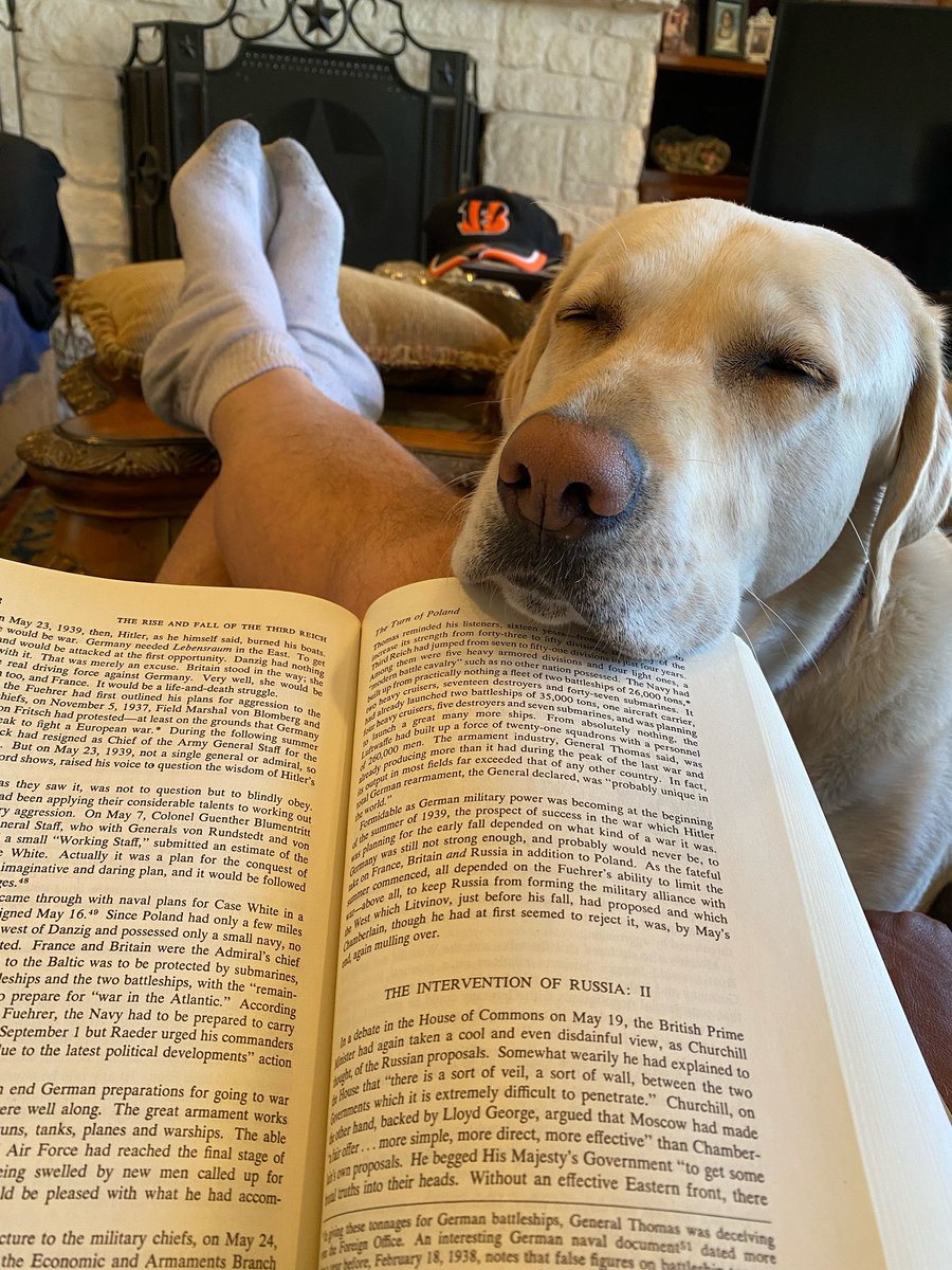 colonraymond's tweet photo. @buitengebieden Aja, my beloved Lab and book marker. https://t.co/KFCkGMQAY2