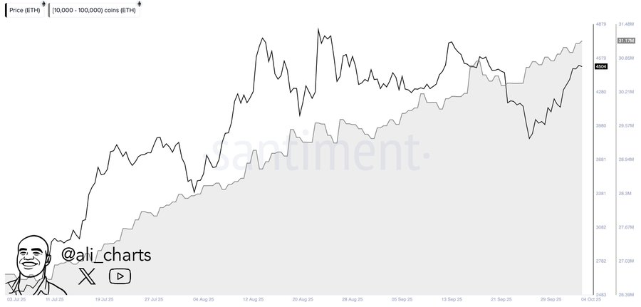 A line chart displaying Ethereum price movements over time, with multiple peaks and troughs. The chart includes a shaded area under the price line and a watermark reading "@ali_charts" with a cartoon face. Text overlay shows "800,000 Ethereum $ETH bought by whales over the past week!" and dates along the x-axis.