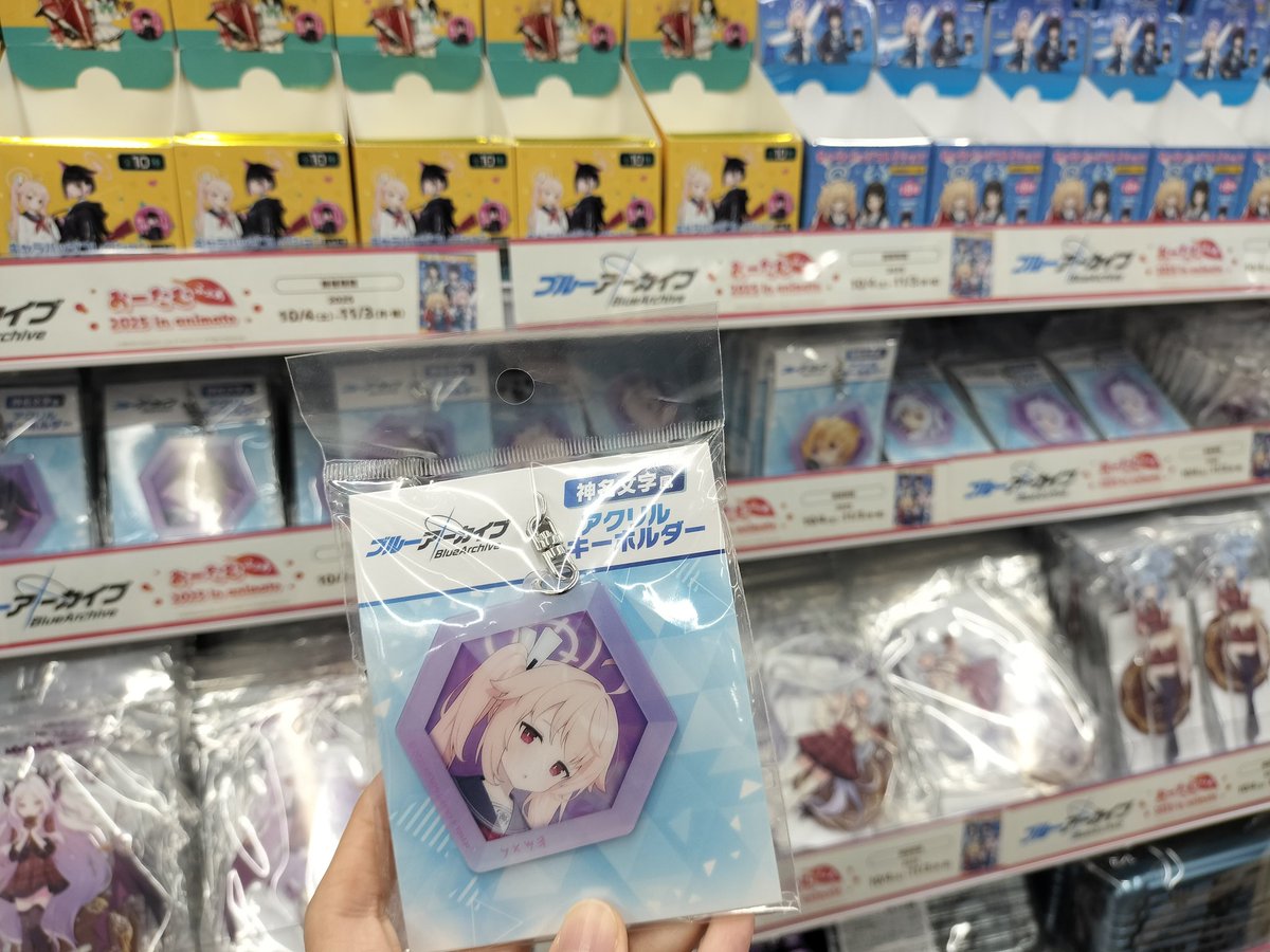 神名文字キーホルダー、値段と大きさとクオリティがめちゃくちゃ良いので全員分販売して欲しい
 #ブルアカ
 #アニメイト