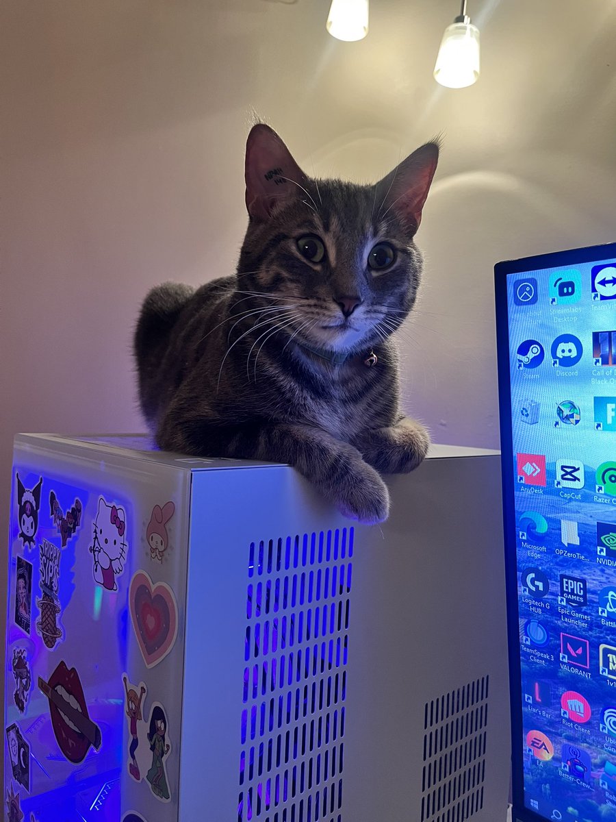 Back on his throne