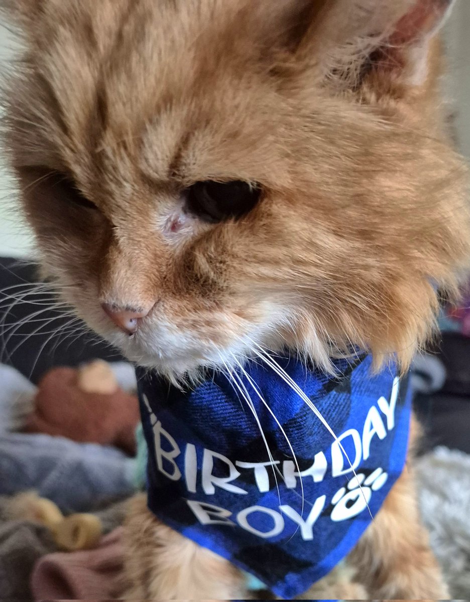 RED'S JEWELS tweet media