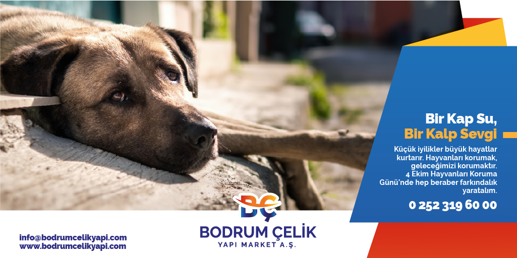 Küçük iyilikler, büyük hayatlar kurtarır.
4 Ekim Dünya Hayvanları Koruma Günü'nde hep beraber farkındalık yaratalım.
#bodrum #bodrumçelikyapımarket #4EkimDünyaHayvanlarıKorumaGünü