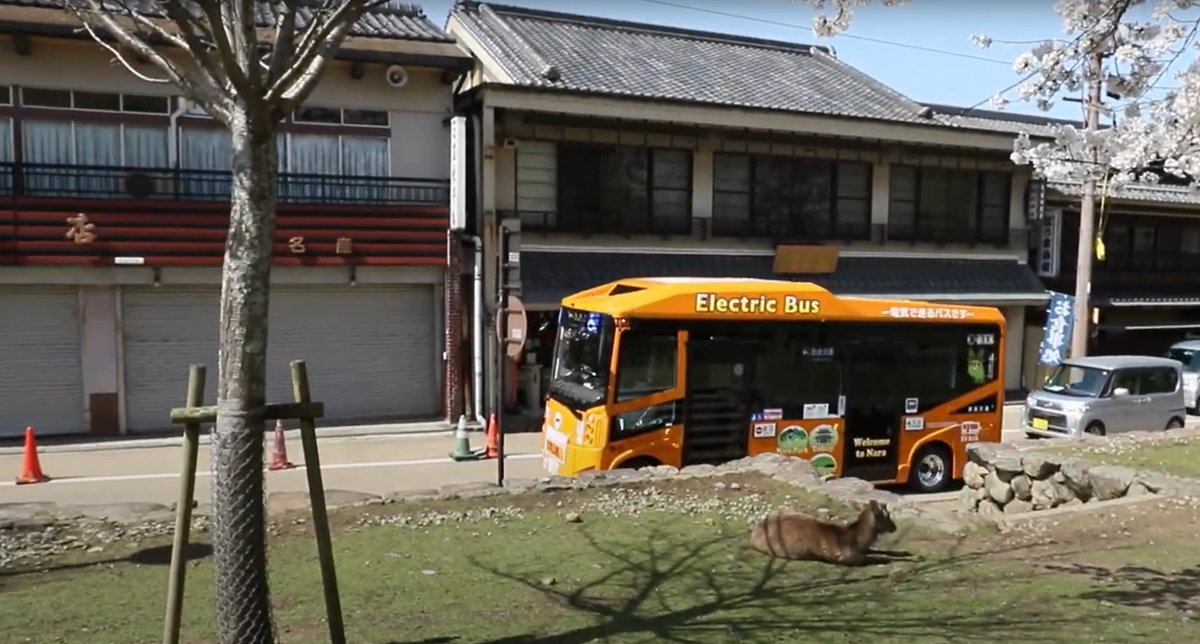 #BYDバス発見 
奈良公園を走るBYDバス！