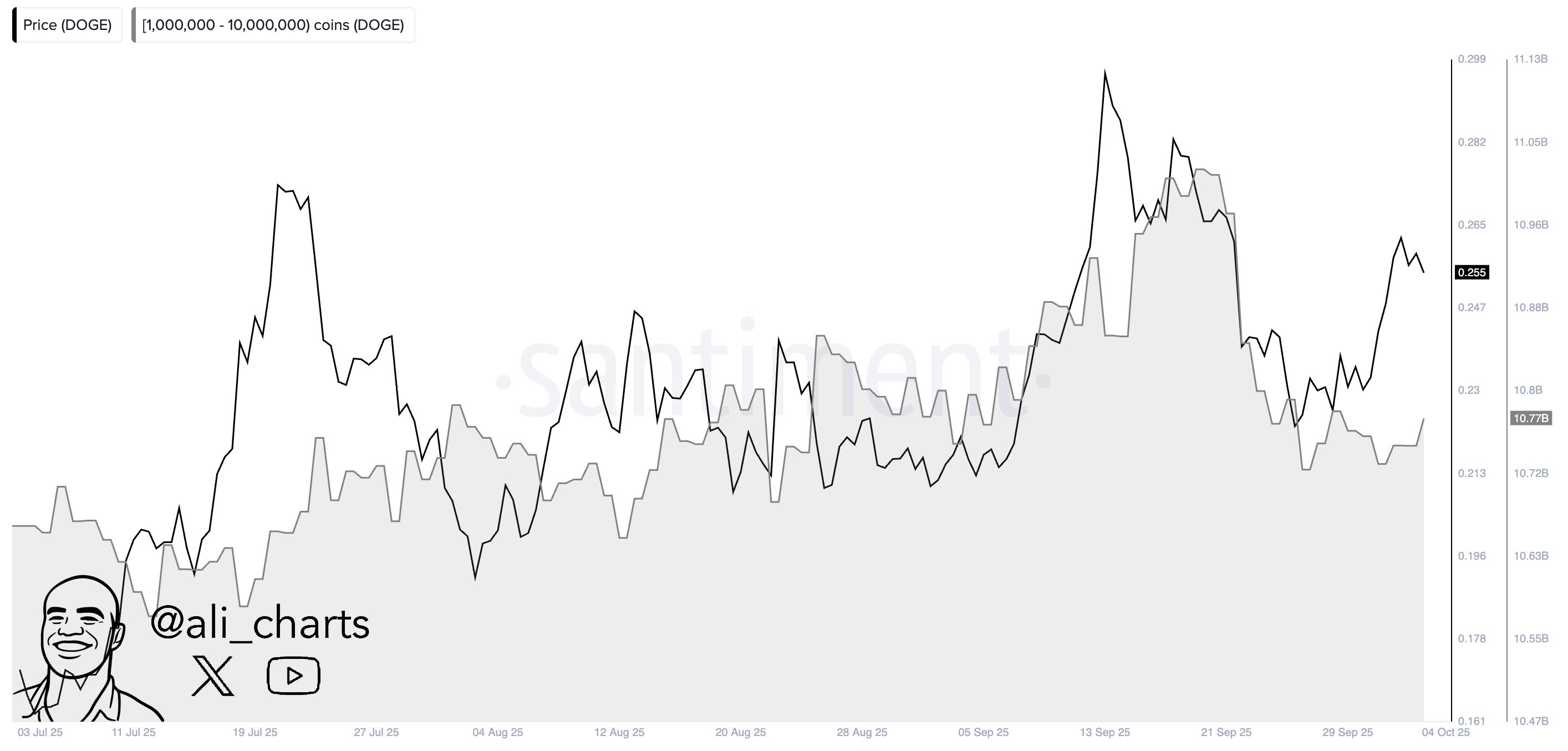 Whales Accumulate 30M DOGE