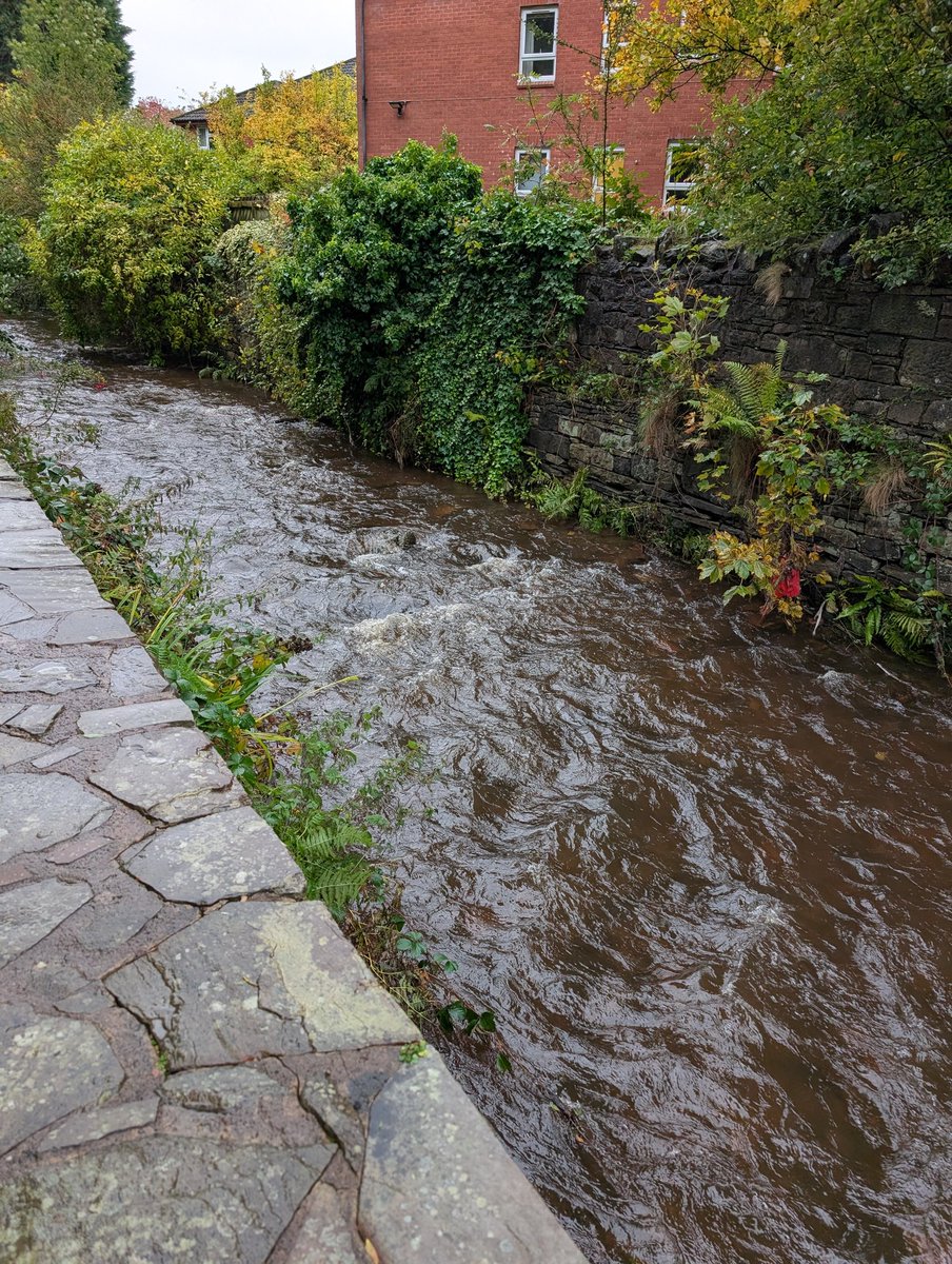 craiglc74's tweet photo. Half  8 matchday, river level dropped significantly and light drizzle in the air, looking good https://t.co/ECJHcs1GTQ