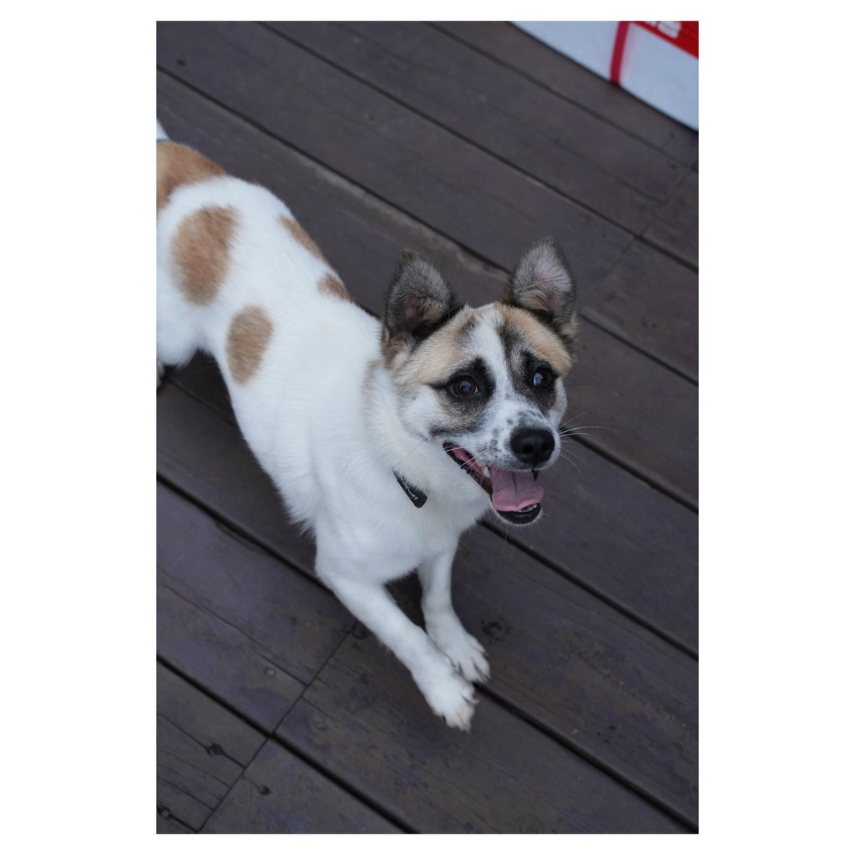 라르드📷 (@larudu_) on Twitter photo 