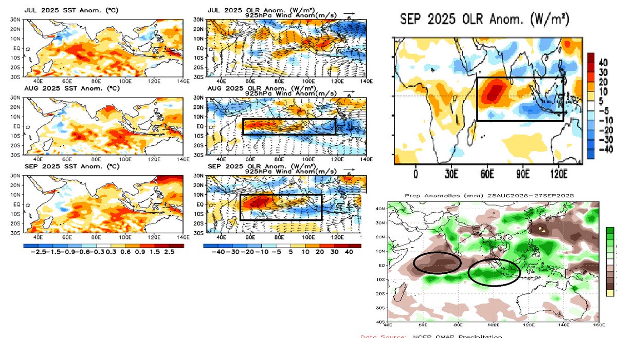 Selwyyyyn's tweet image. Clear-cut dipole structure seen in OLR ,SSTA  &amp;amp; rainfall anomaly plots from  Aug &amp;amp; it got enhanced further during sep confirming the strengthening of #Negativeiod . Westerly wind anomalies also appears pretty strong!!
dc @NWSCPC @NOAA 
#Monsoon #IOD #LaNina #SWM2025 #SWM