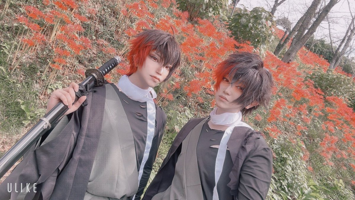 イベントには行けないけどどうしても彼岸花を撮りたい2振が集いました、時雨ちゃんと同位体で撮影してきたぞっ✌️

Part2！！！！！