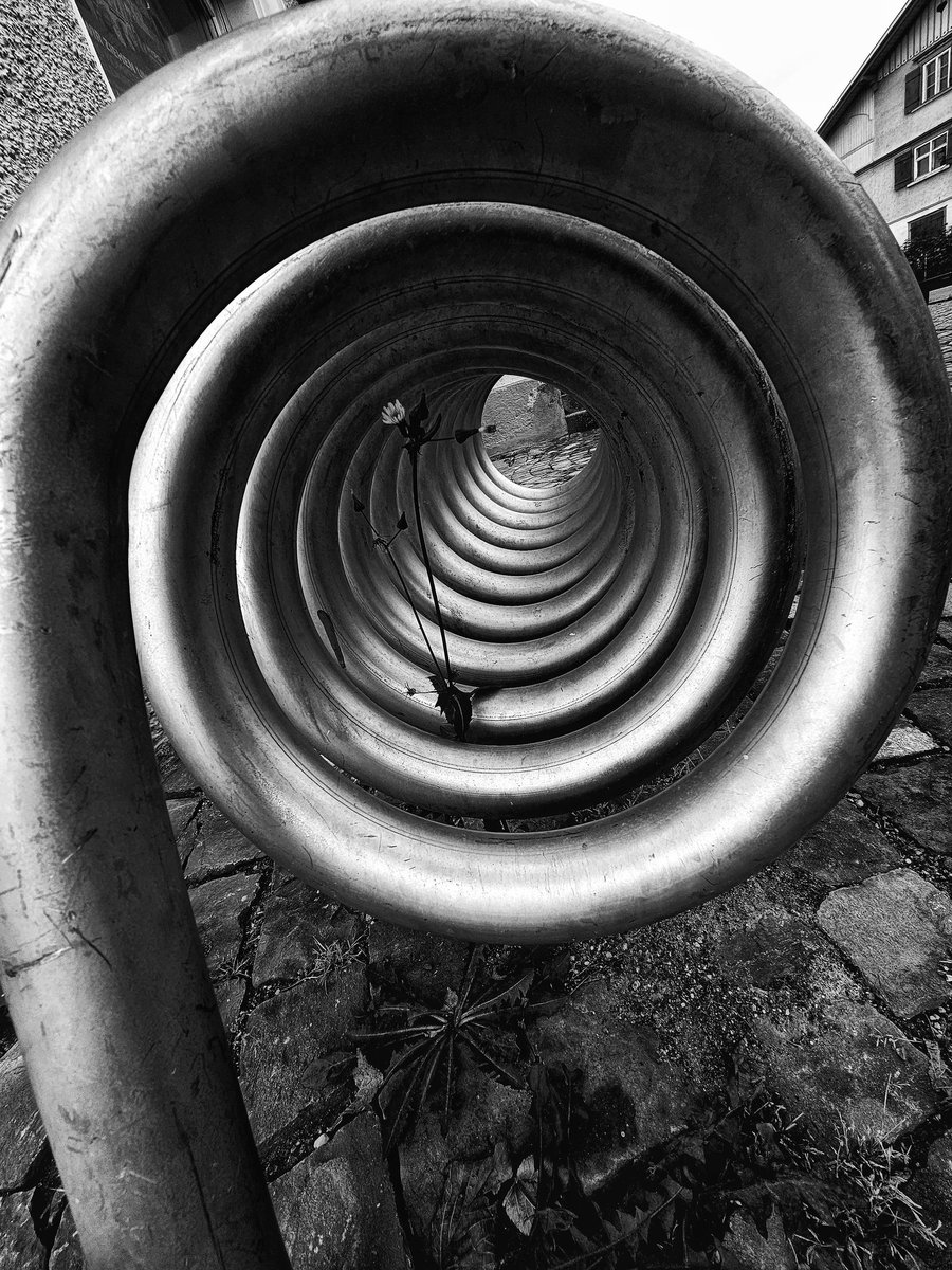 Drabbles153's tweet image. #NFTkaltenstein #kaltenstein #Spiral #Flower #monochrome #photography #noai