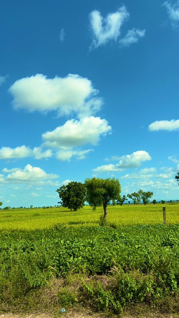 FatimaGohar786's tweet image. Beautiful #Adamawa, thank you for your warm hospitality. @followADSG