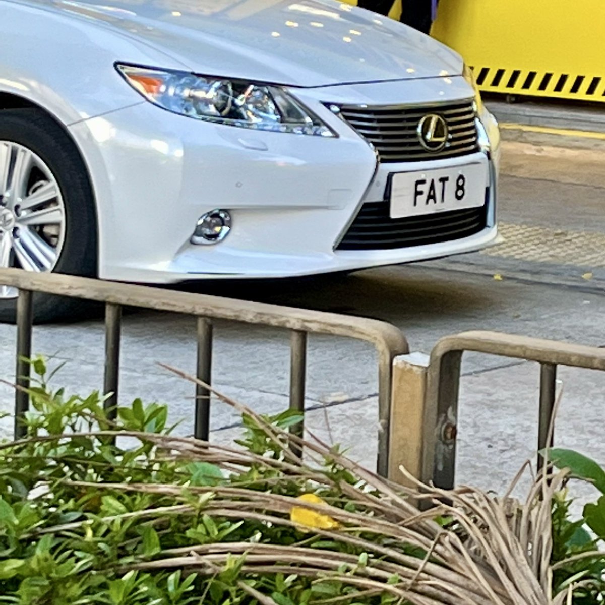 quantopop's tweet photo. Feeling lucky! 🤩 #8FAT8 #FAT88 #FAT8 #HKnumberplates #HongKong @HKnumberplates https://t.co/cene9A2FFo