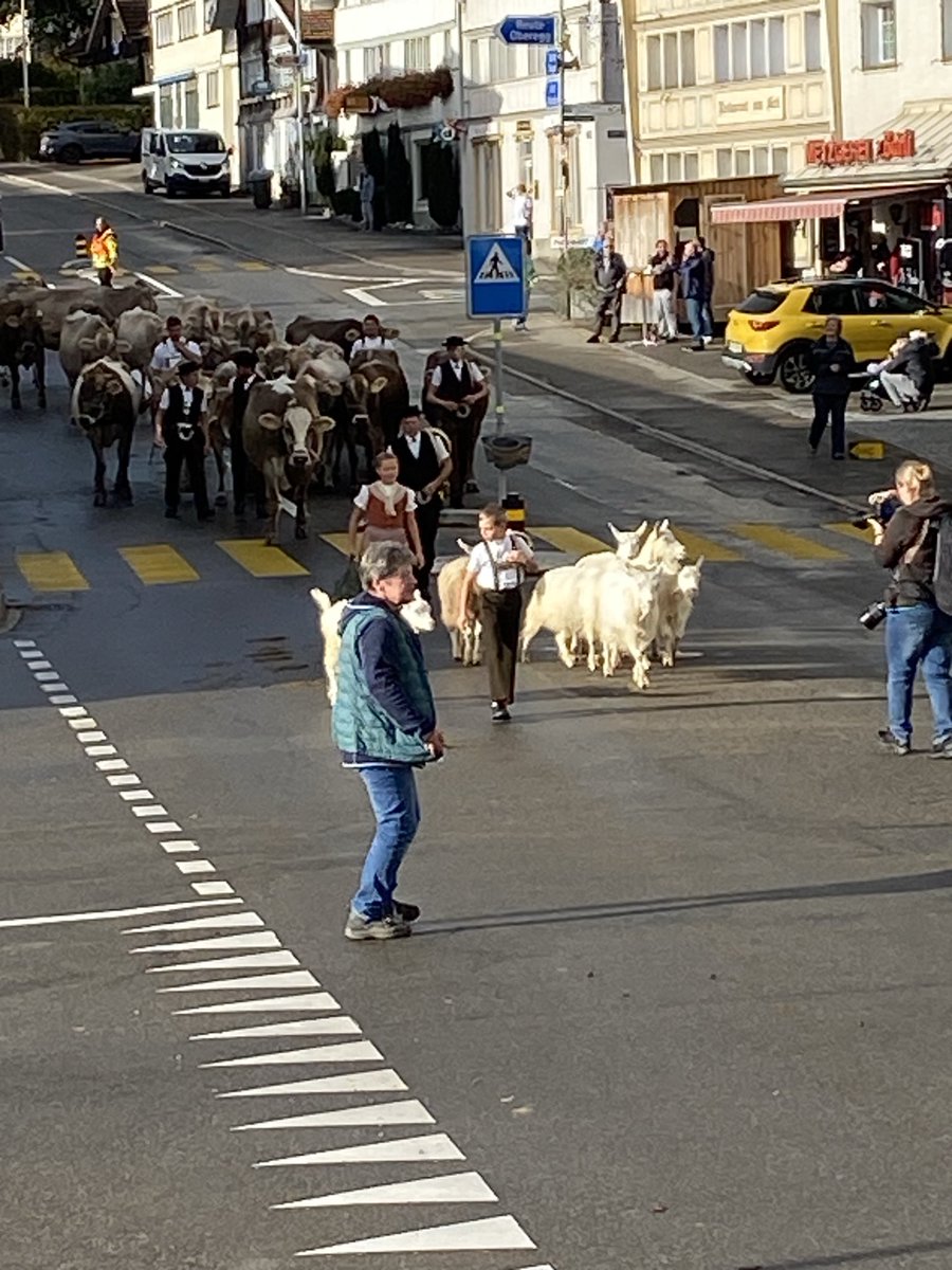 marcusflepp's tweet image. Viehschau in #Heiden