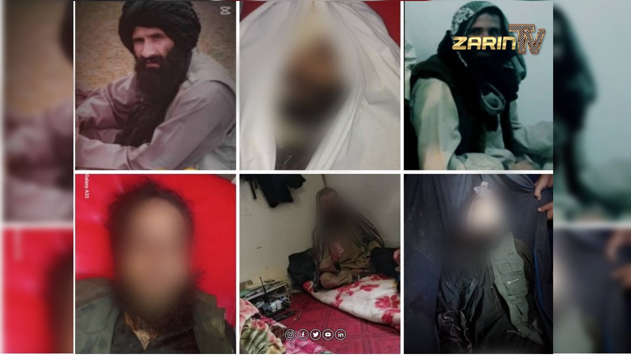 چهار طالب در کاپیسا تیرباران شدند