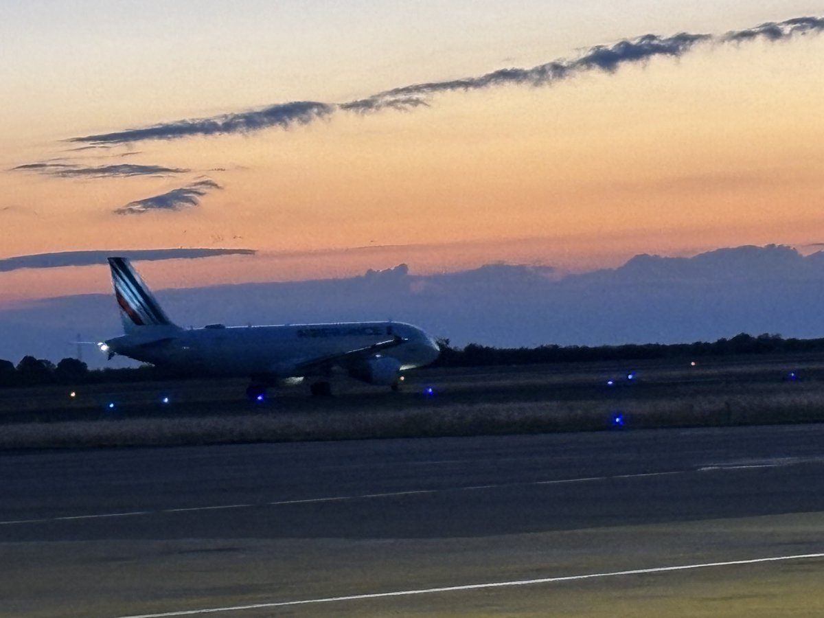 F.✈️⭐️ tweet media