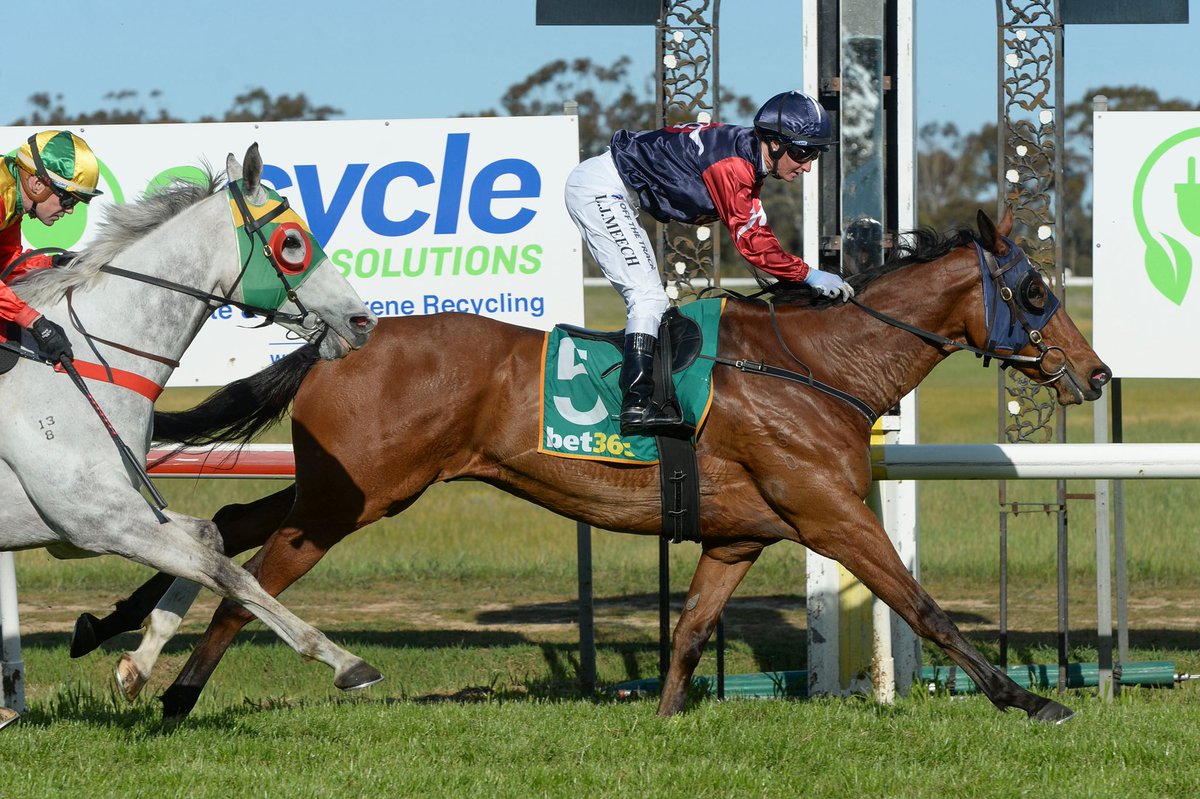 Country Racing tweet media