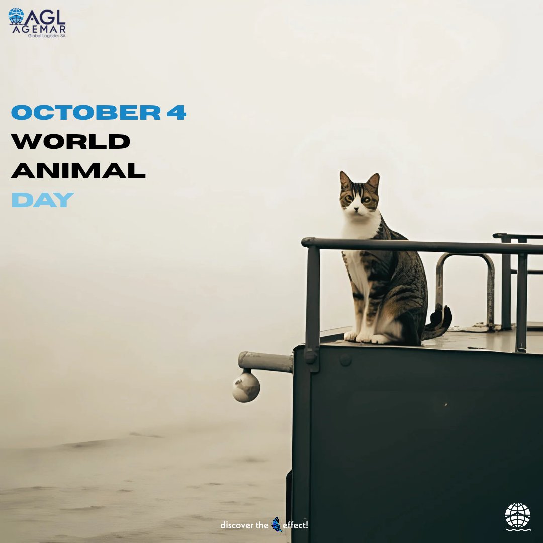 Happiness is togetherness. Wishing you a joyful World Animal Day!