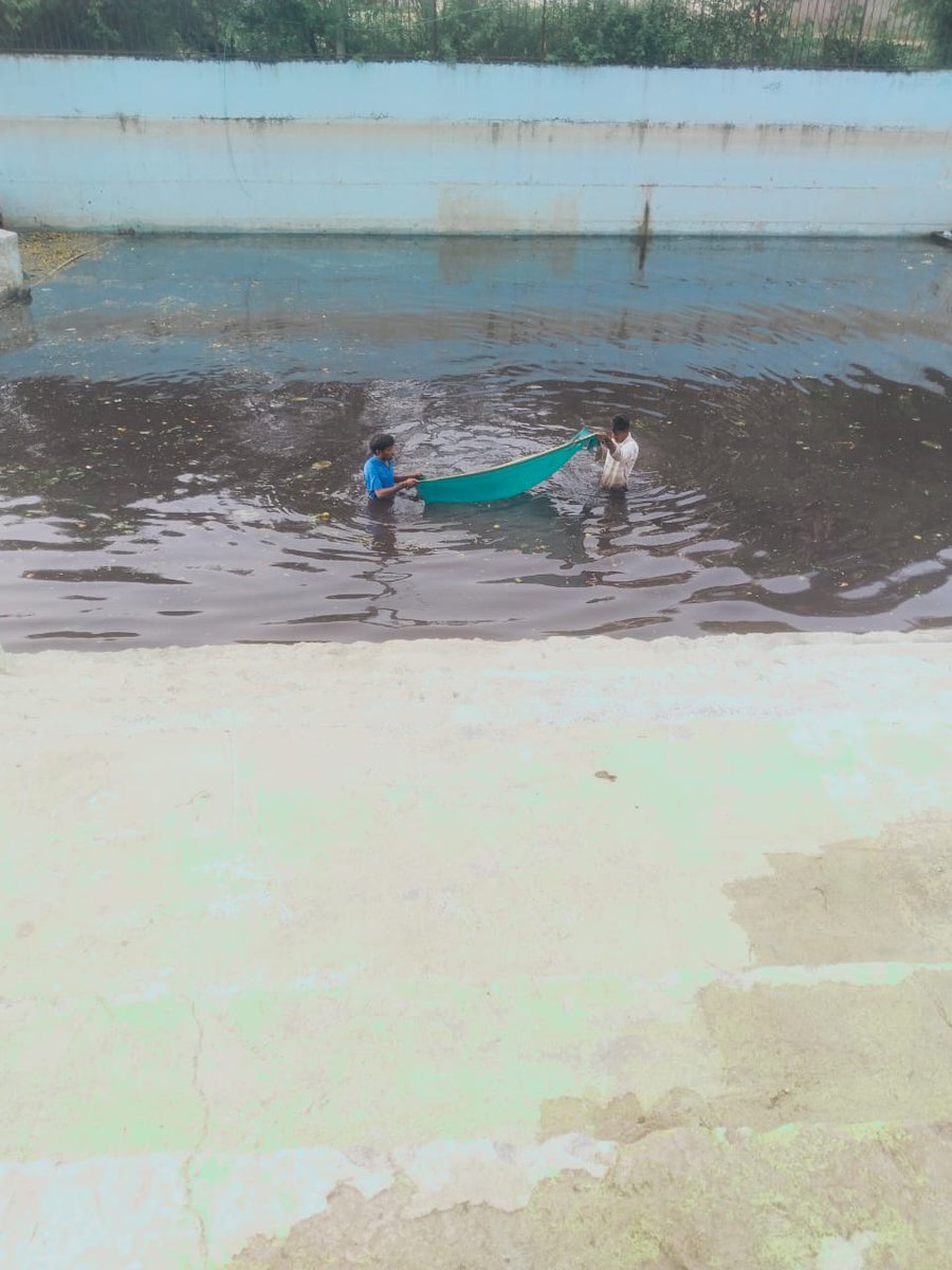 AE 129 Suraram tweet media