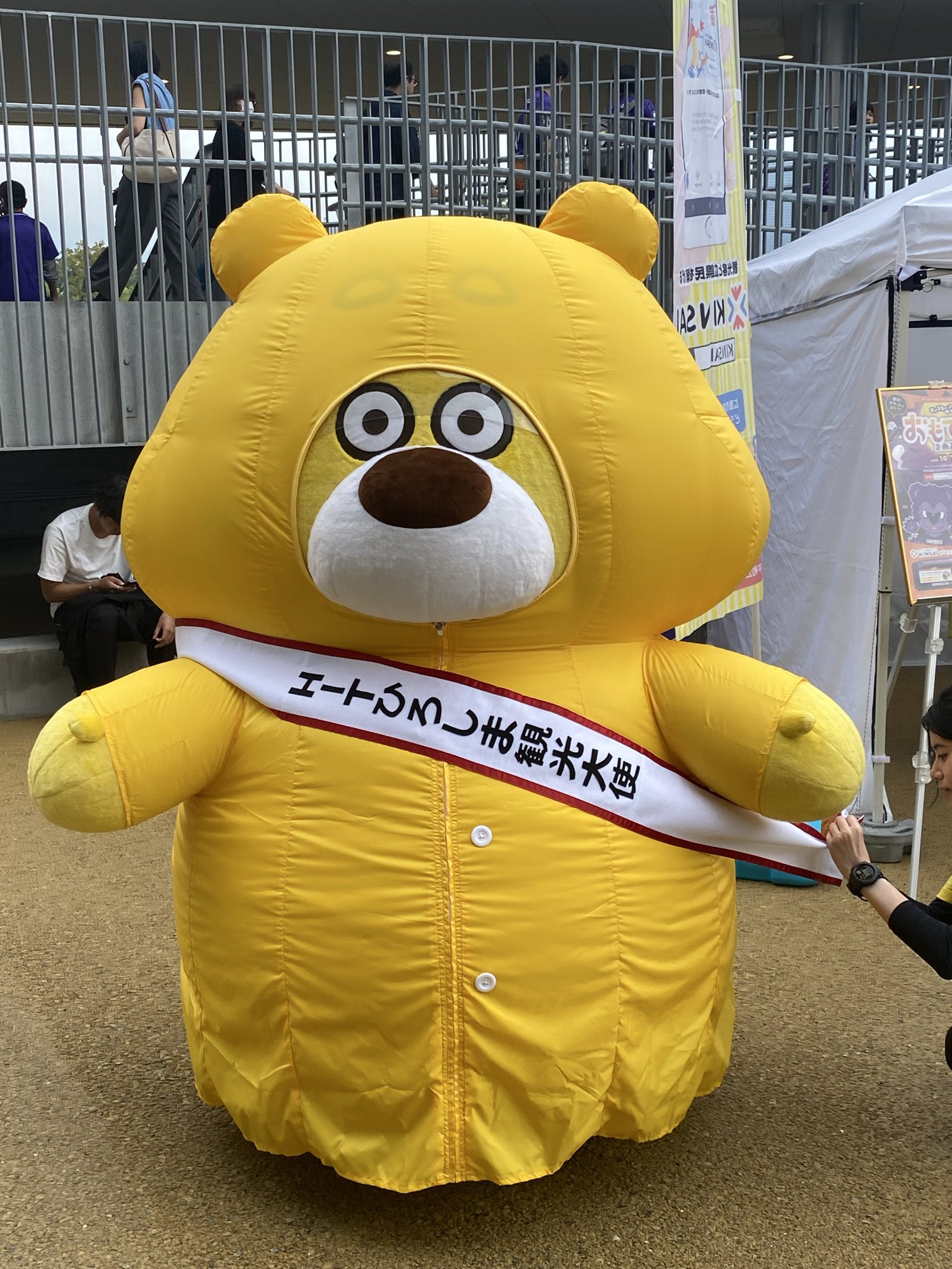 ひろくま - Suche / X