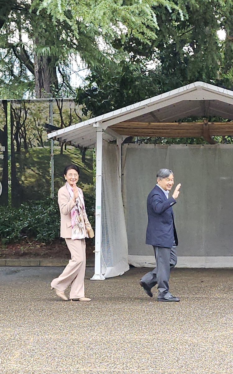 みけねこ - Search / X