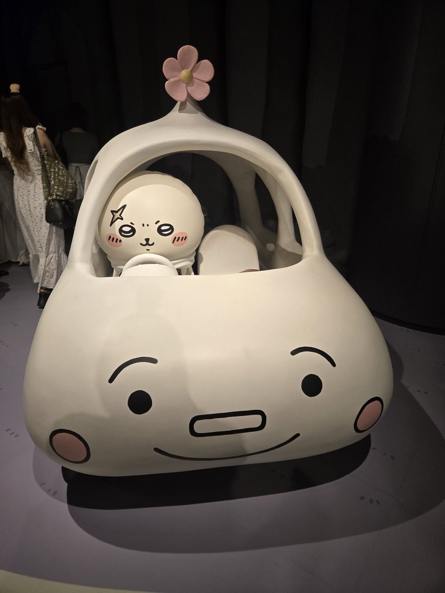 css_rion tweet picture