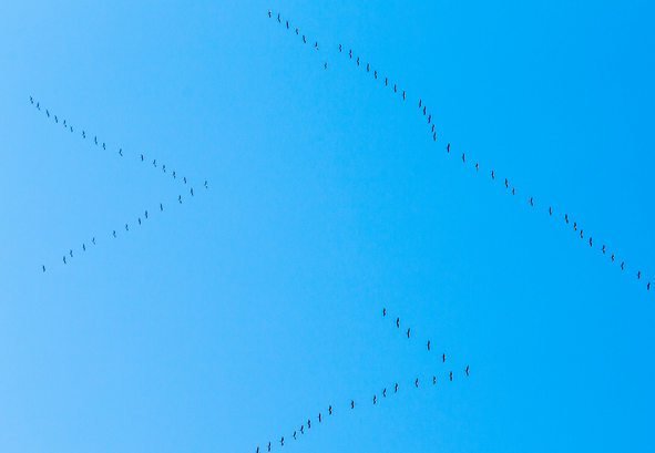 Systemsprenger tweet media