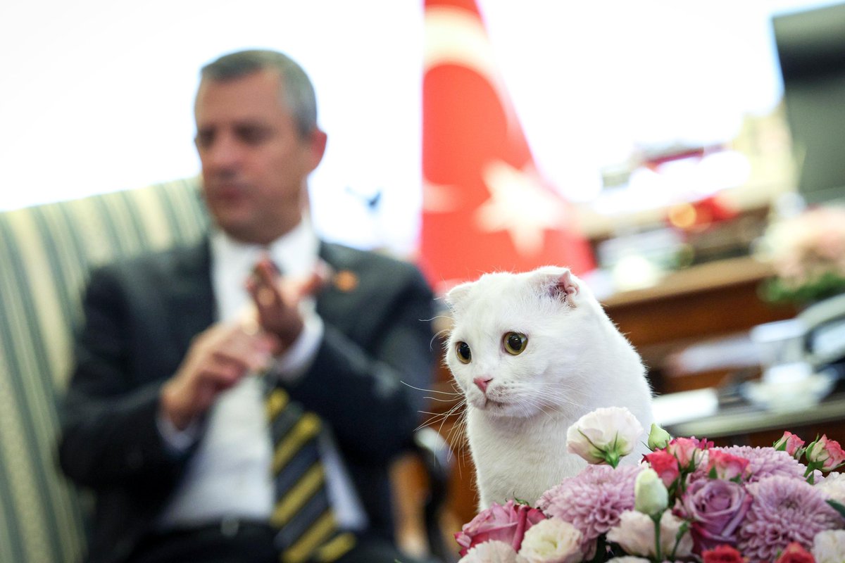 Zafer ve Mayıs...

Genel Merkezimizdeki can dostlarımızın gözündeki o saf sevgi bana hep aynı şeyi hatırlatıyor. Bu dünyada kötülüğün hiçbir yeri yok. 

Tüm canların yaşam hakkına saygılı, daha adil, daha merhametli bir dünya  kurmak insanlığın elinde!