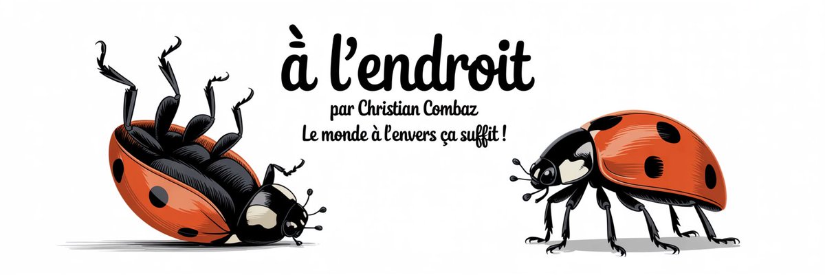 TvlCampagnol's tweet image. #VendrediLecture le 16 octobre