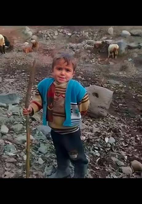 4renguc's tweet photo. @opatatess O ne demek aşkım https://t.co/Ou0jTGfsCh