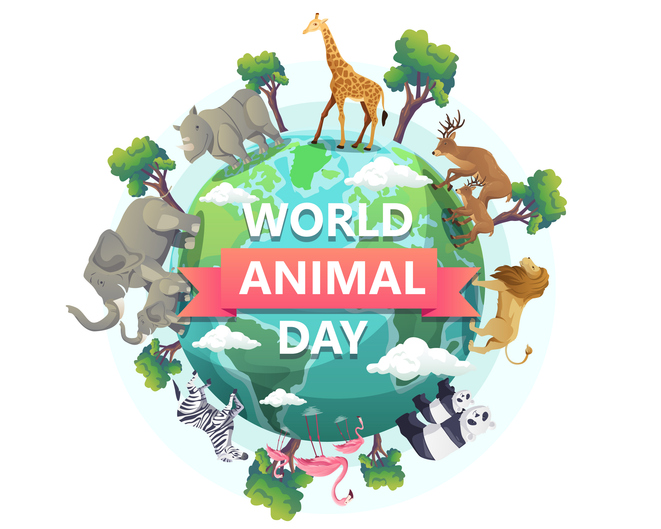 Did you know 4 October is World Animal Day? It’s the perfect excuse to celebrate our furry, feathered, and scaly friends! Give your pet an extra cuddle and share a photo of your favourite animal below 👇🏼
#WorldAnimalDay #LoveAnimals #EveryCreatureCounts
