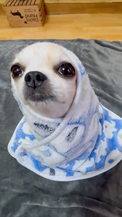 눈물이 차올라서 고갤 들와
흐르지 못하게 또 살짝 웃와
내게 와 이러는지 무슨 말을 하는지
오늘 했던 모든 말 저 하늘 와와로