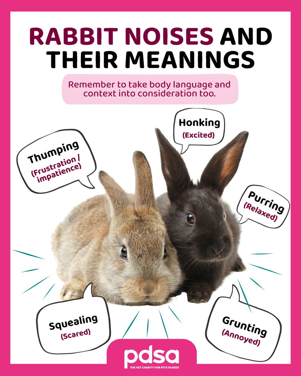 Happy #WorldAnimalDay! 🐱 🐶 🐰🐰  

To help us better understand our pets, we're sharing tips for identifying their mood by listening to the sounds they make.

Remember to take context and body language into consideration too!