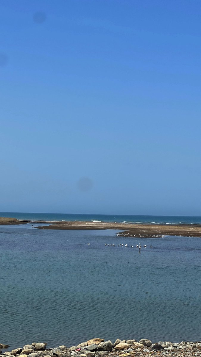 نصبح ونمسي في زحام من النعم..✨
الحمدلله قولاً وفعلاً وشكراً ورضا..🌸
#صباح_الخير