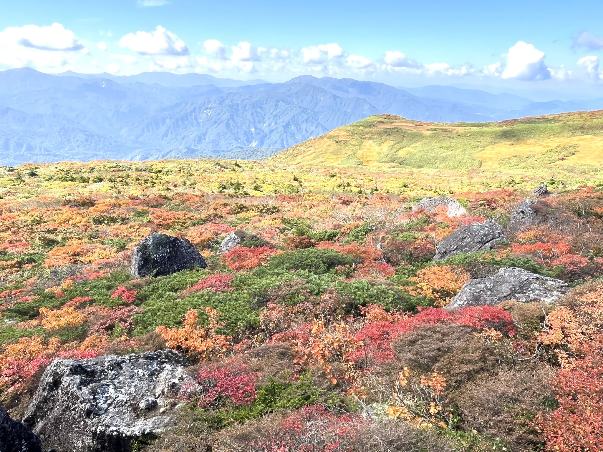 なっくんページ なっちゃん on X: 