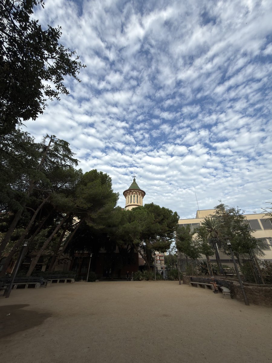 Fran Manauta tweet media