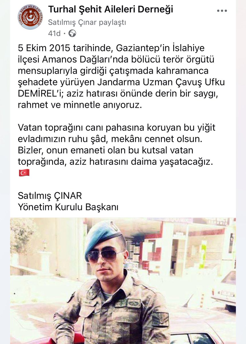 satılmış çınar (@satlmnar2) on Twitter photo 