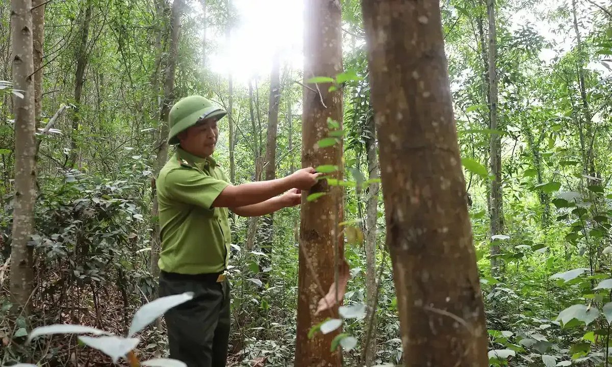 JungleBoss73's tweet photo. Eco tourism in Vietnam by Jungle Boss adventure tours!

https://t.co/G5dSIegSHC https://t.co/T1fqfq2Rfp