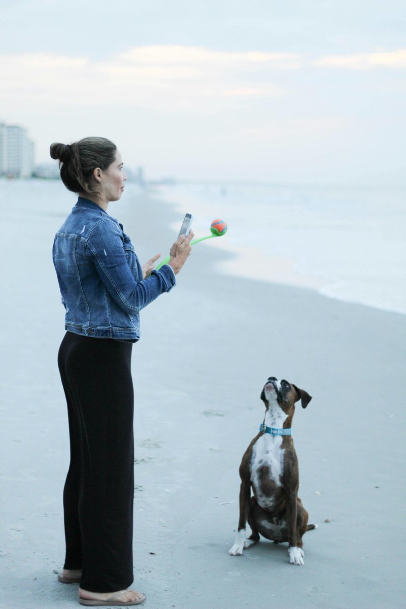 kninepets's tweet image. Grab a great toy 🎾, keep the excitement going 🐕💨, and make safety part of every fetch for a happy, healthy pup 🐾❤️

kninepets.com

#FetchFun #DogPlaytime #HappyPup #Zoomies #DogToys #PlayAllDay #SafePlay #ActiveDogs #HealthyDogs #PetAdventure