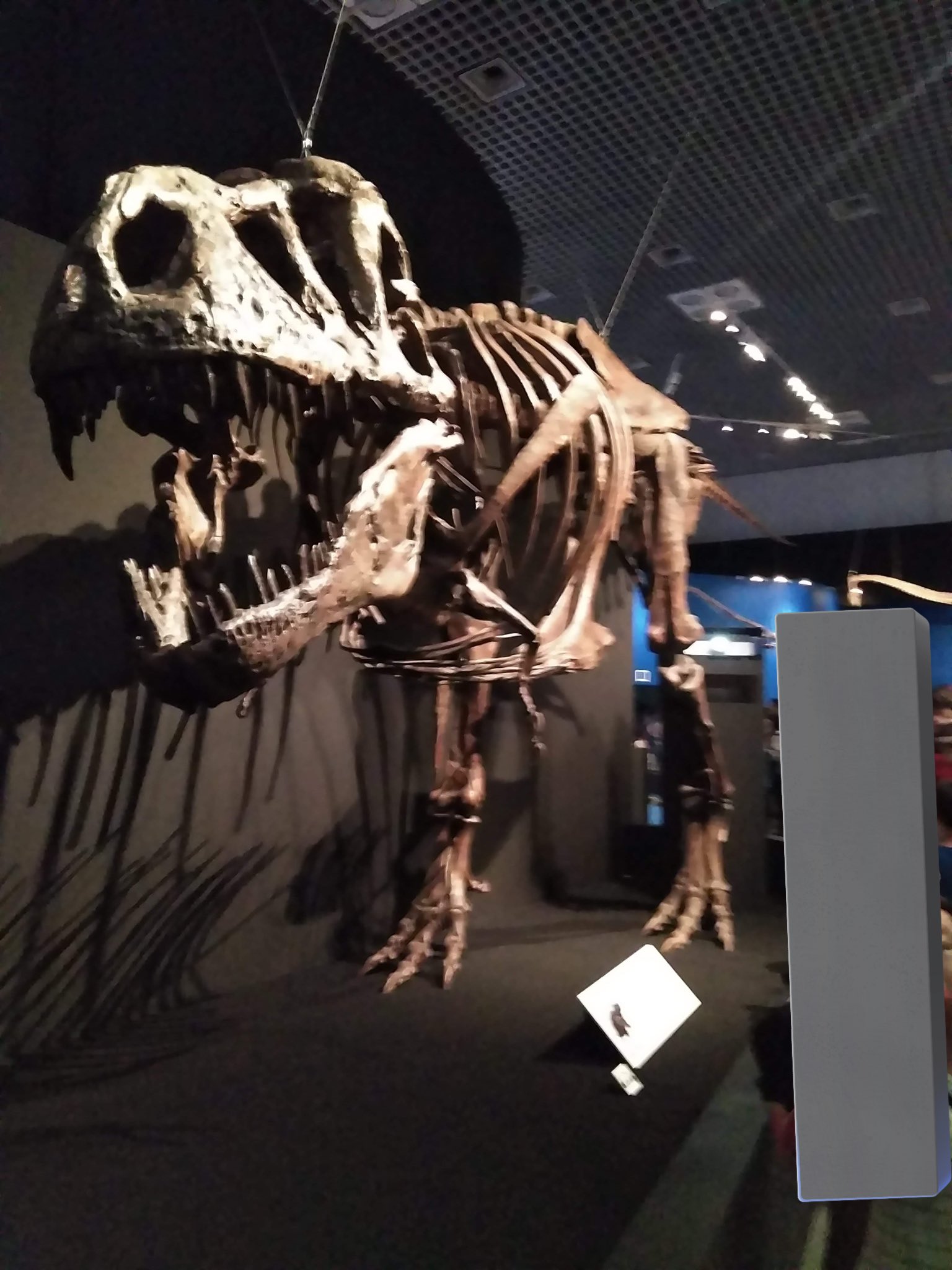 「恐竜の時代　ドラマチックな写真記録」　サイン付き 恐竜の時代 ドラマチックな写真記録」 サイン付き 恐竜の時代