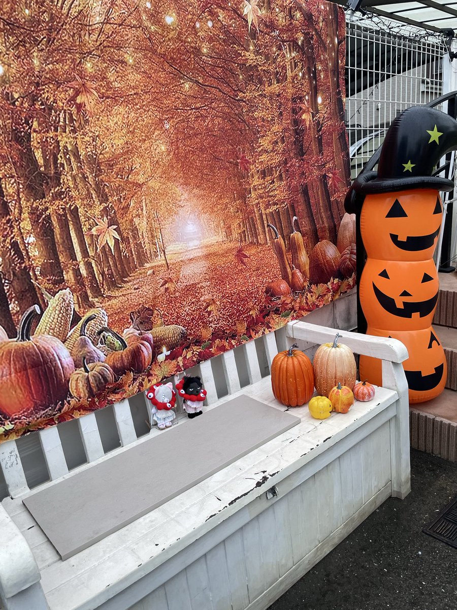 ハロウィン　10作品 ハロウィンバッグ かぼちゃ くろねこ 製作キット 保育 製作 10月