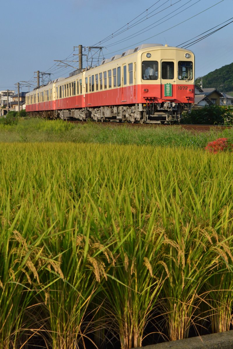 やまさん やまさん (@YAMASAN_3030) / Posts / X