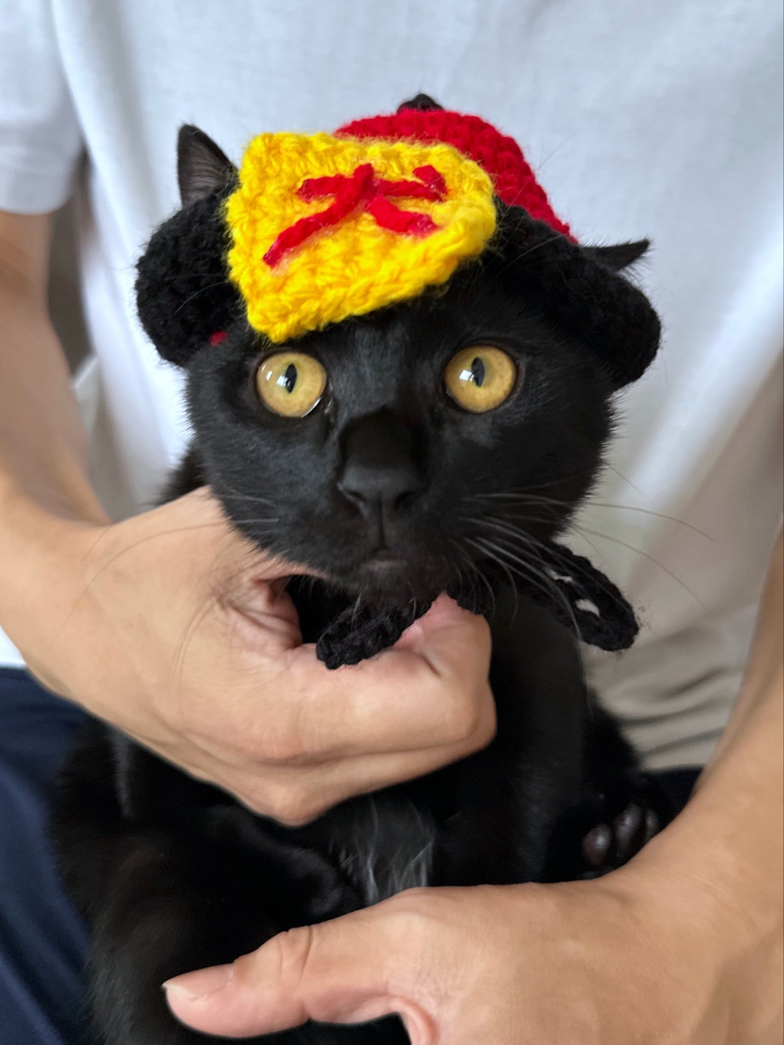 黒猫様 黒猫 (立東舎 乙女の本棚) | エドガー・アラン・ポー, まくら