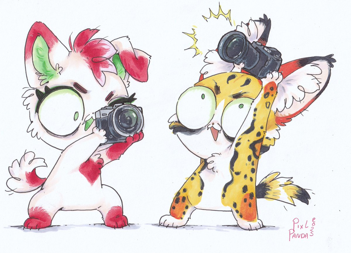 ᴘɪxʟᴘᴀɴᴅᴀ tweet media