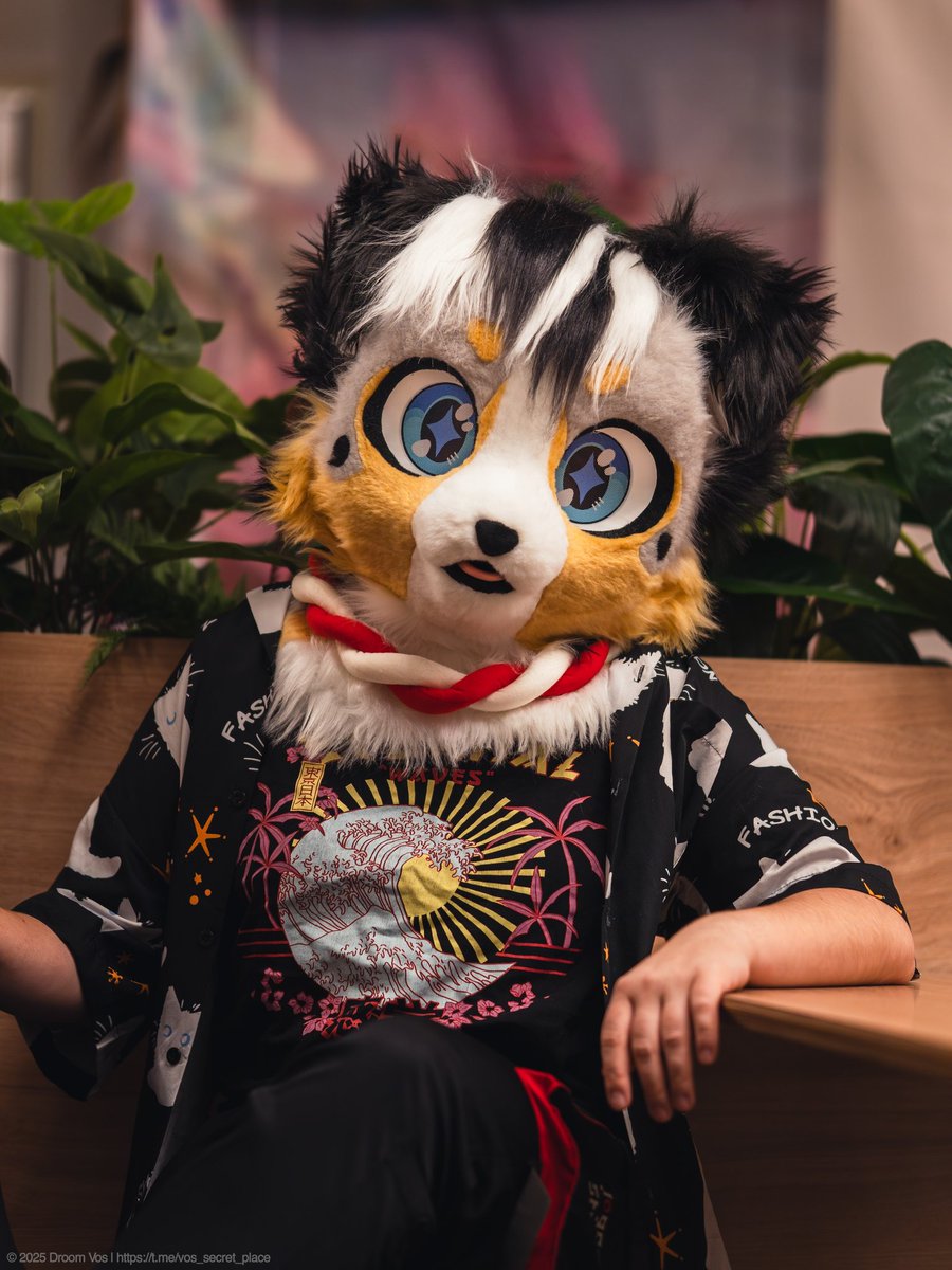 CFerretCraft's tweet photo. The doggie is on sale 💖 

#furry #fursuit #kemono #fursuitforsale https://t.co/wI7JsDvMGJ