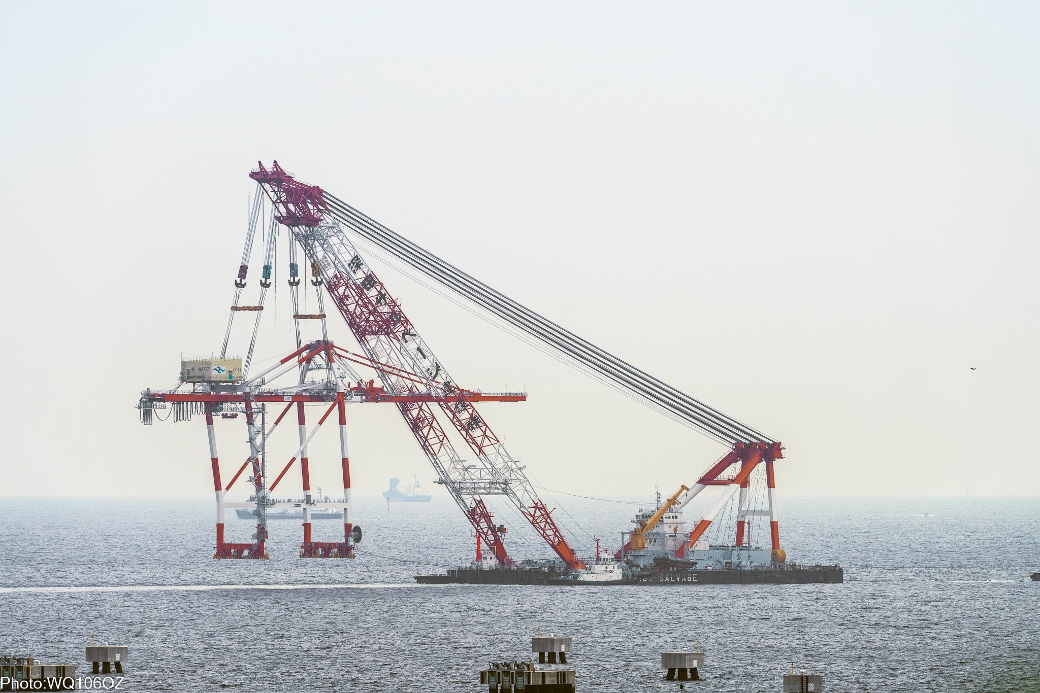 つぼT (@TSUboTSUbo01) / X