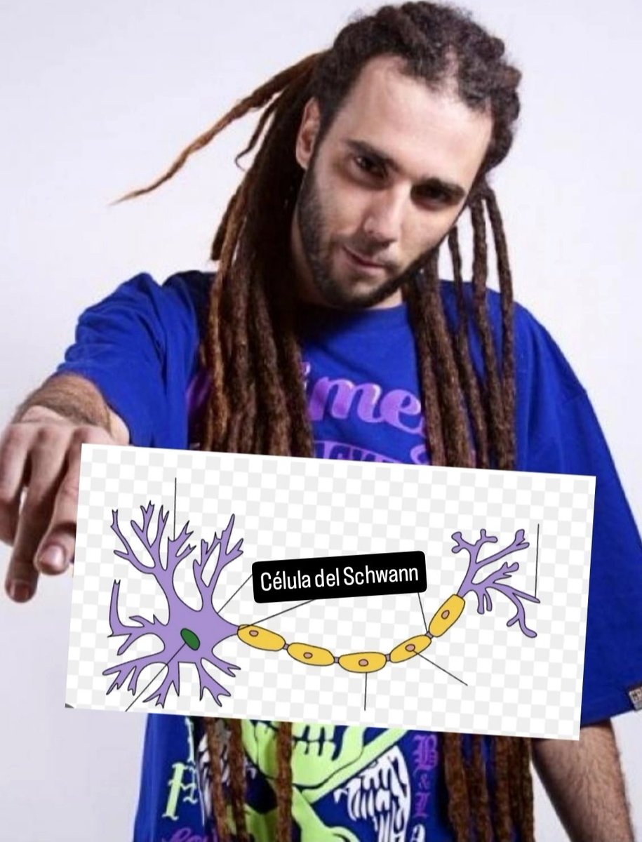 Opopires estudiando psicobiología con música: