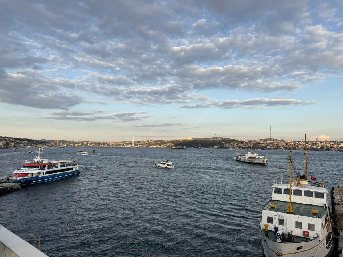 yesilNFT tweet media