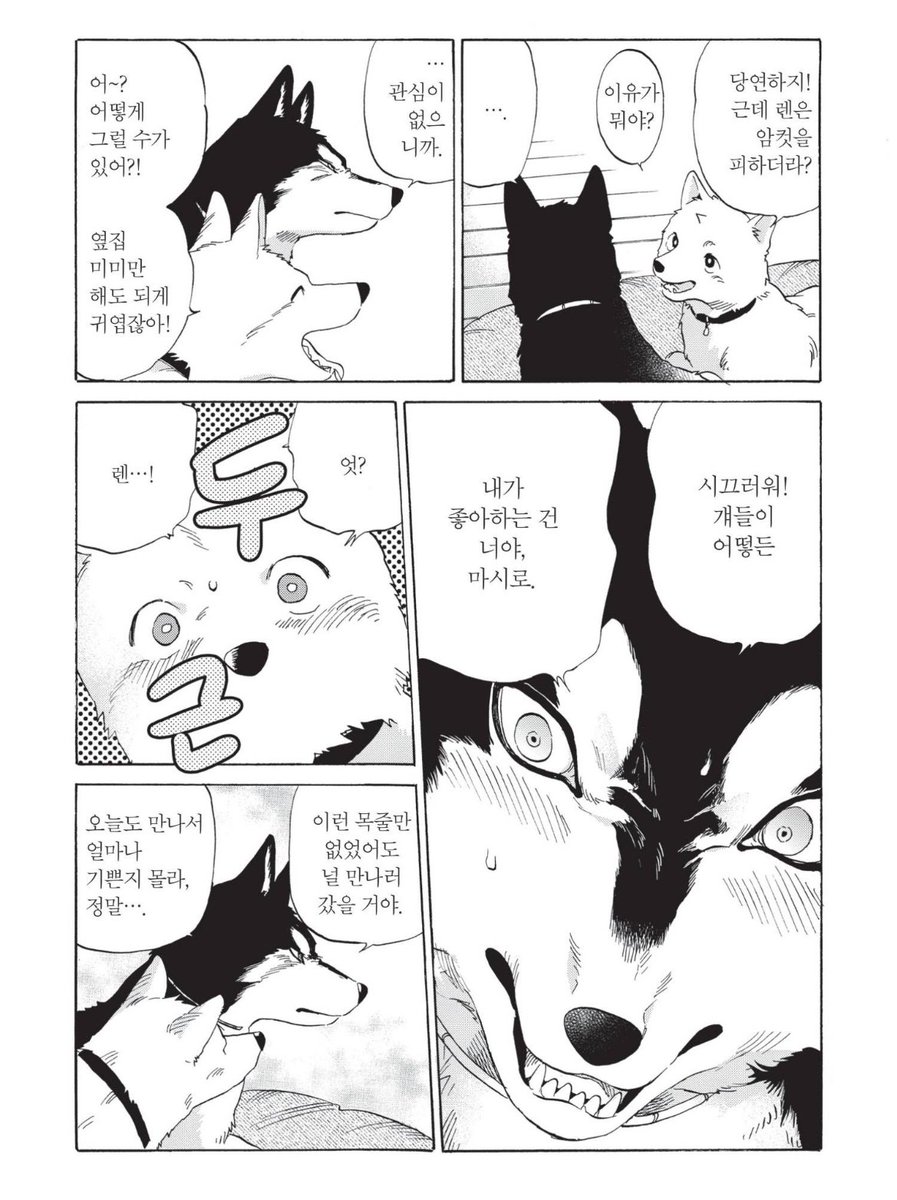 이 단편 때문에 앞에서 본 감동적인 단편들 다 까먹음