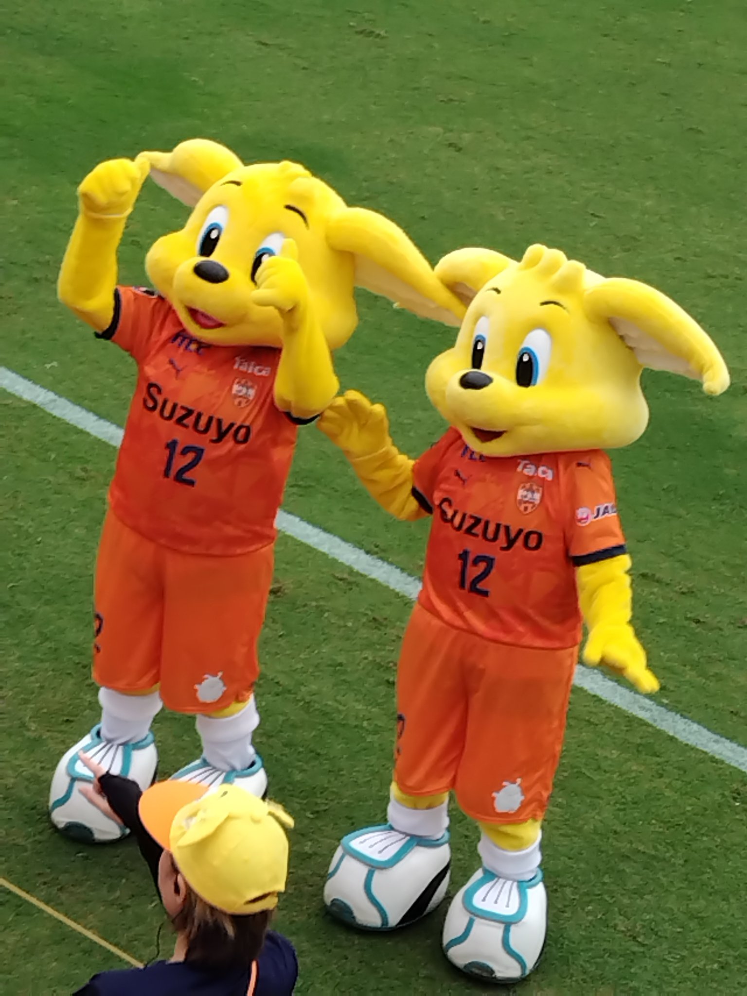 パルちゃん Haruっち on X: 